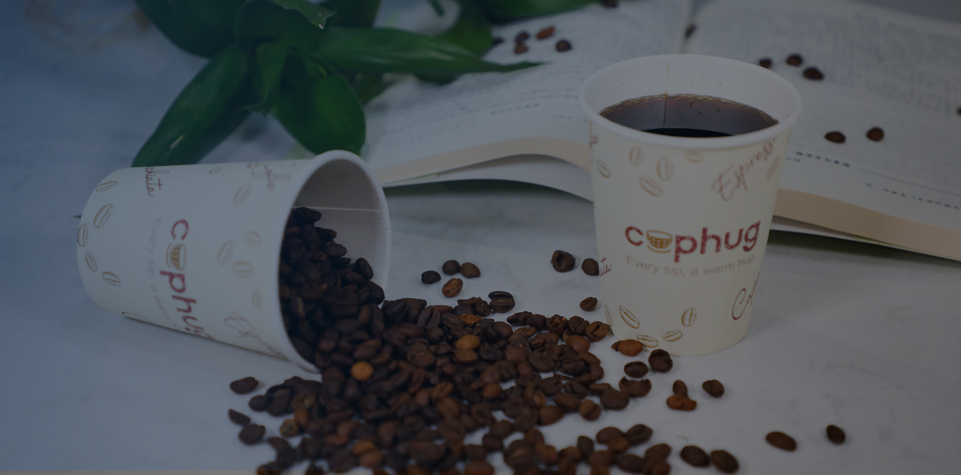 江苏麦洛特生物科技有限公司